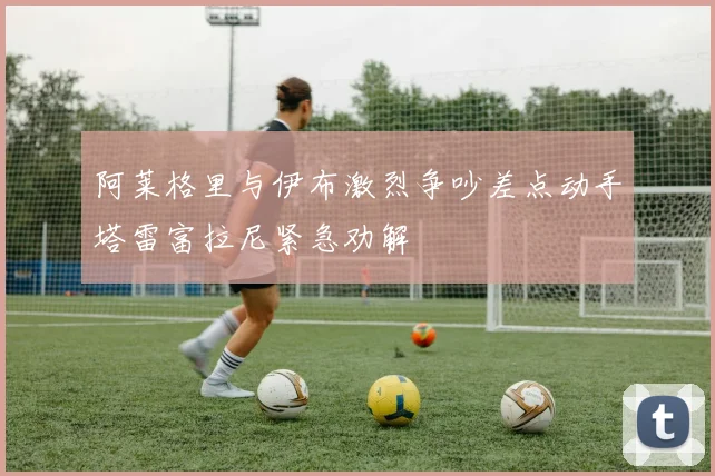阿莱格里与伊布激烈争吵差点动手塔雷富拉尼紧急劝解