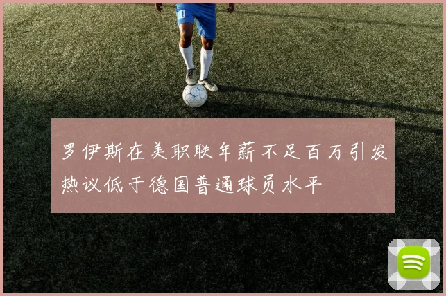 罗伊斯在美职联年薪不足百万引发热议低于德国普通球员水平