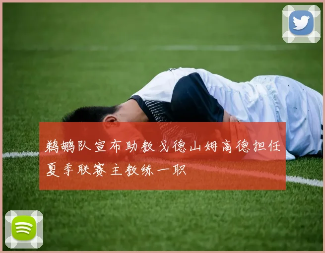 鹈鹕队宣布助教戈德山姆高德担任夏季联赛主教练一职